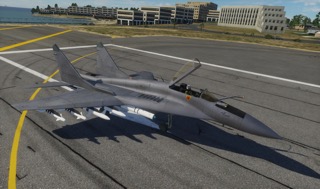 MiG-29_Landed-1