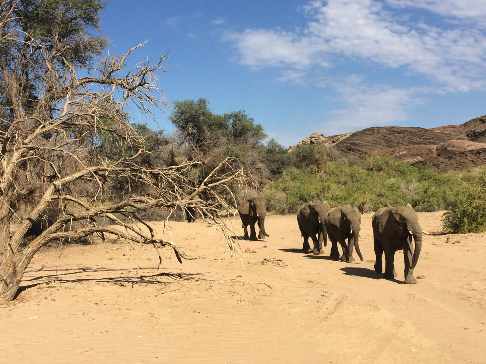 Namibie_080_j05_Safari_Brandberg
