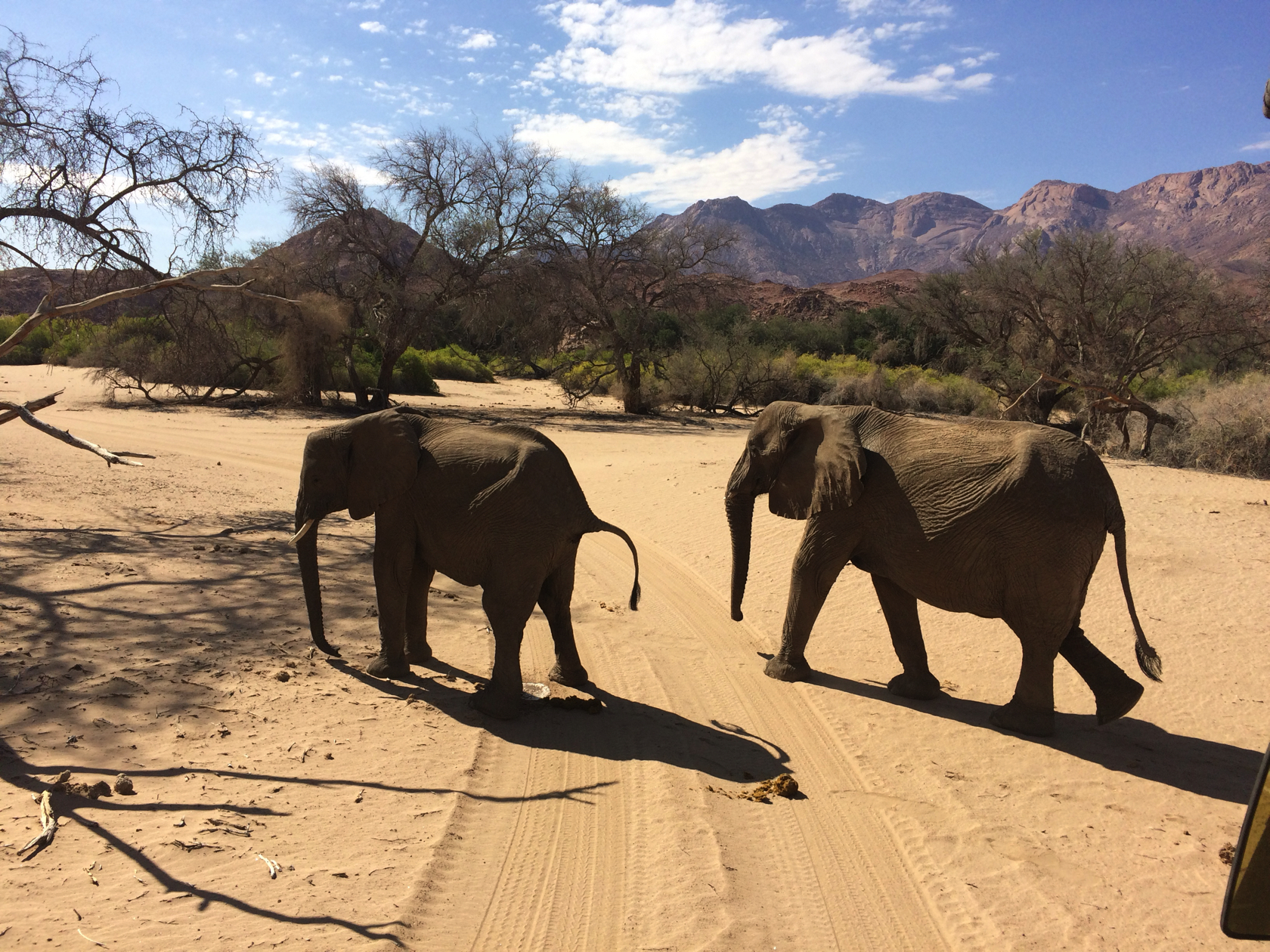 Namibie_082_j05_Safari_Brandberg