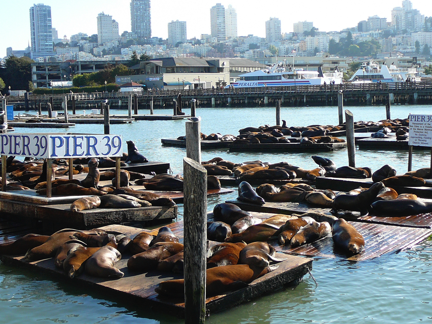 West-USA_015_San_Francisco