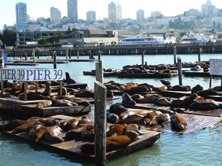 West-USA_015_San_Francisco